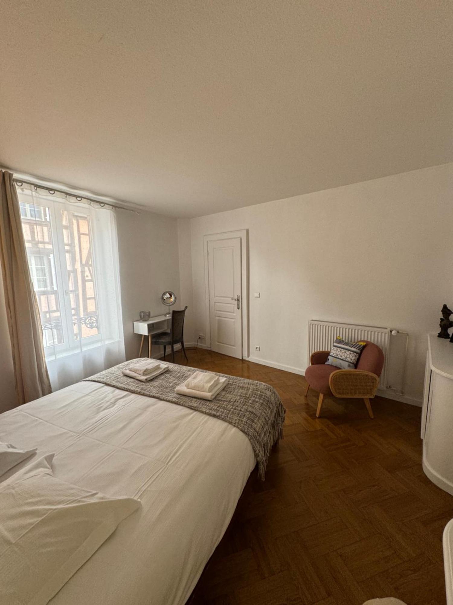 Appartement De Standing Hypercentre Колмар Екстериор снимка